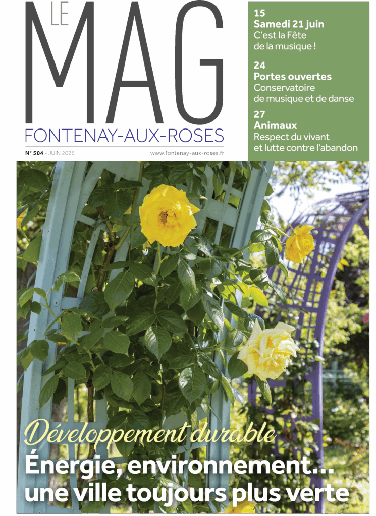 Couverture Fontenay Mag N°504